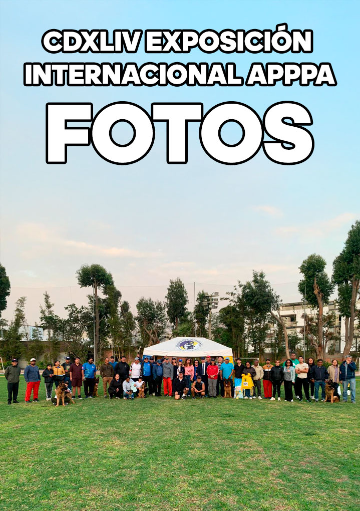 CDXLIV EXPOSICIÓN INTERNACIONAL APPPA